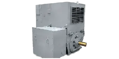 medium voltage motors